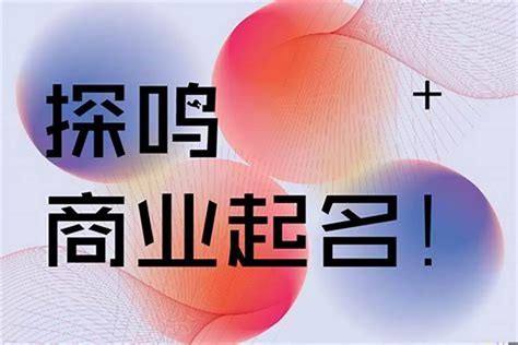 陳懿瑱 公司名字大全